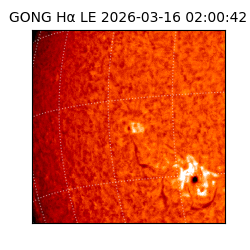 gong - 2026-03-16T02:00:42