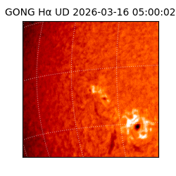 gong - 2026-03-16T05:00:02