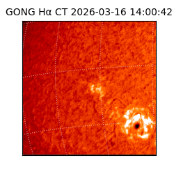 gong - 2026-03-16T14:00:42