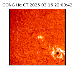 gong - 2026-03-16T22:00:42