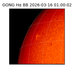 gong - 2026-03-16T01:00:02