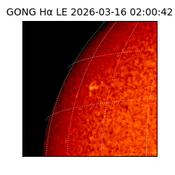 gong - 2026-03-16T02:00:42