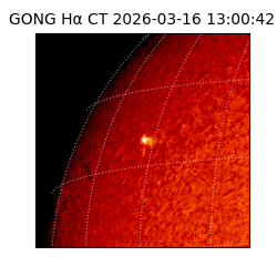 gong - 2026-03-16T13:00:42