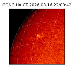 gong - 2026-03-16T22:00:42