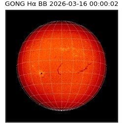 gong - 2026-03-16T00:00:02