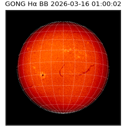 gong - 2026-03-16T01:00:02