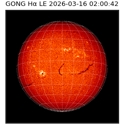 gong - 2026-03-16T02:00:42