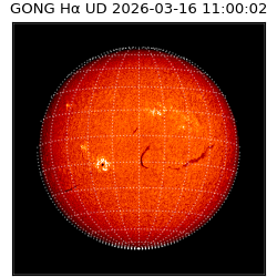 gong - 2026-03-16T11:00:02