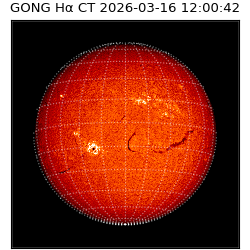 gong - 2026-03-16T12:00:42