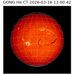 gong - 2026-03-16T13:00:42