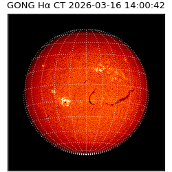 gong - 2026-03-16T14:00:42