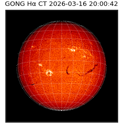 gong - 2026-03-16T20:00:42