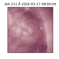 saia - 2026-03-17T08:00:09.623000