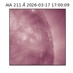 saia - 2026-03-17T17:00:09.630000