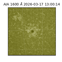 saia - 2026-03-17T13:00:14.130000