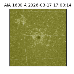 saia - 2026-03-17T17:00:14.123000