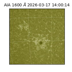 saia - 2026-03-17T14:00:14.124000