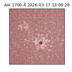 saia - 2026-03-17T13:00:28.446000