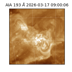 saia - 2026-03-17T09:00:06.646000