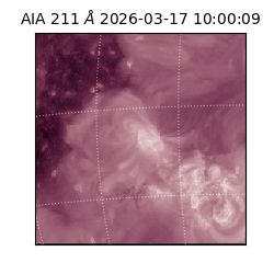 saia - 2026-03-17T10:00:09.624000