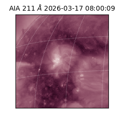 saia - 2026-03-17T08:00:09.623000