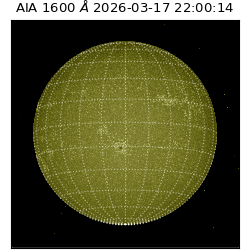 saia - 2026-03-17T22:00:14.123000