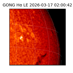 gong - 2026-03-17T02:00:42