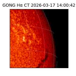 gong - 2026-03-17T14:00:42