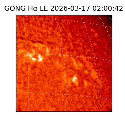 gong - 2026-03-17T02:00:42