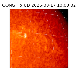 gong - 2026-03-17T10:00:02