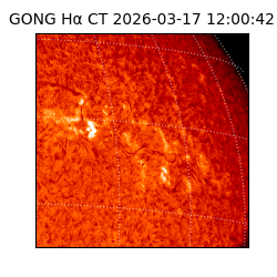 gong - 2026-03-17T12:00:42