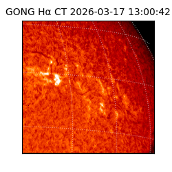 gong - 2026-03-17T13:00:42