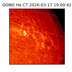 gong - 2026-03-17T19:00:42