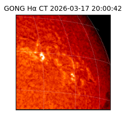 gong - 2026-03-17T20:00:42
