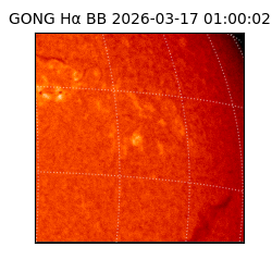 gong - 2026-03-17T01:00:02