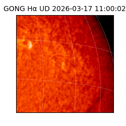 gong - 2026-03-17T11:00:02