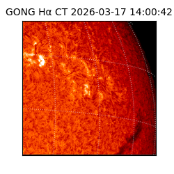gong - 2026-03-17T14:00:42