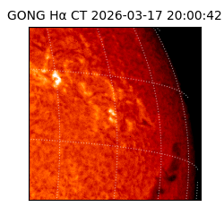 gong - 2026-03-17T20:00:42