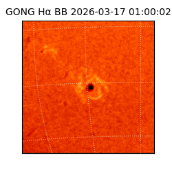 gong - 2026-03-17T01:00:02