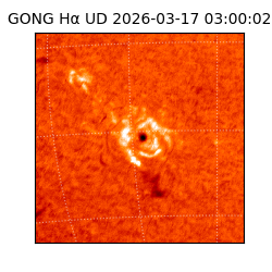 gong - 2026-03-17T03:00:02