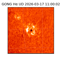 gong - 2026-03-17T11:00:02