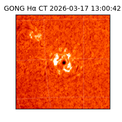 gong - 2026-03-17T13:00:42