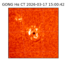 gong - 2026-03-17T15:00:42