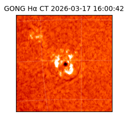 gong - 2026-03-17T16:00:42