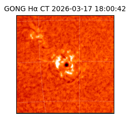 gong - 2026-03-17T18:00:42