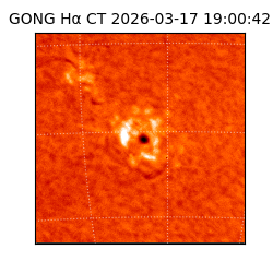 gong - 2026-03-17T19:00:42