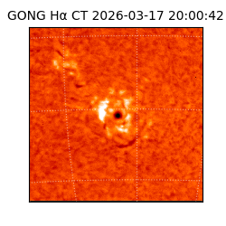 gong - 2026-03-17T20:00:42