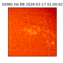 gong - 2026-03-17T01:00:02