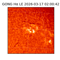 gong - 2026-03-17T02:00:42