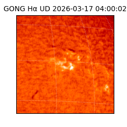 gong - 2026-03-17T04:00:02